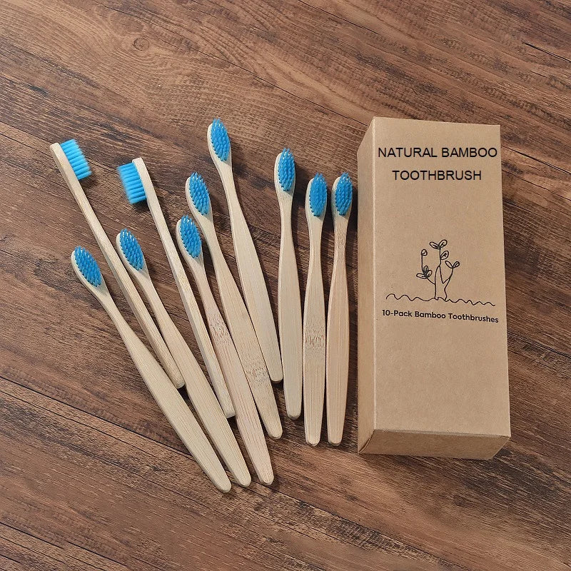 Ensemble de brosses à dents en bambou écologiques BAMBOO WORLD
