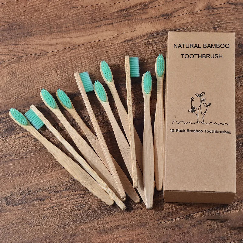 Ensemble de brosses à dents en bambou écologiques BAMBOO WORLD