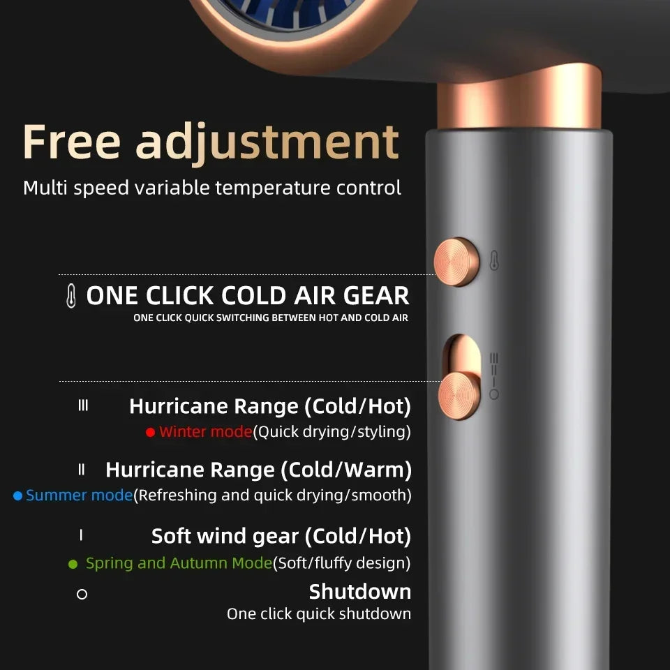 Professional Ionic Hair Dryer (2,000 W)