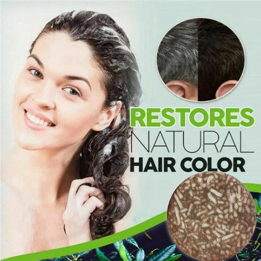 Haarshampoo Polygonum Essence Haarverdunkelungsshampoo Seife Natürliches Bio-Haarshampoo Reverse Hair Cleansing Reiseprobe