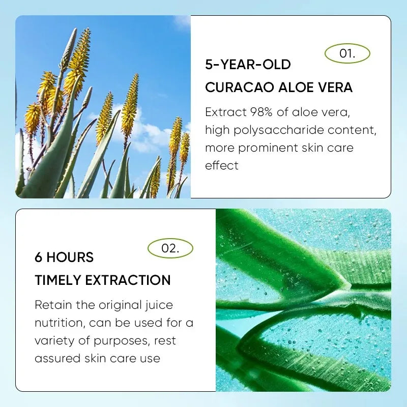 SADOER Aloe Lip Balm – Nourishing, Moisturizing & Lip Repair Stick
