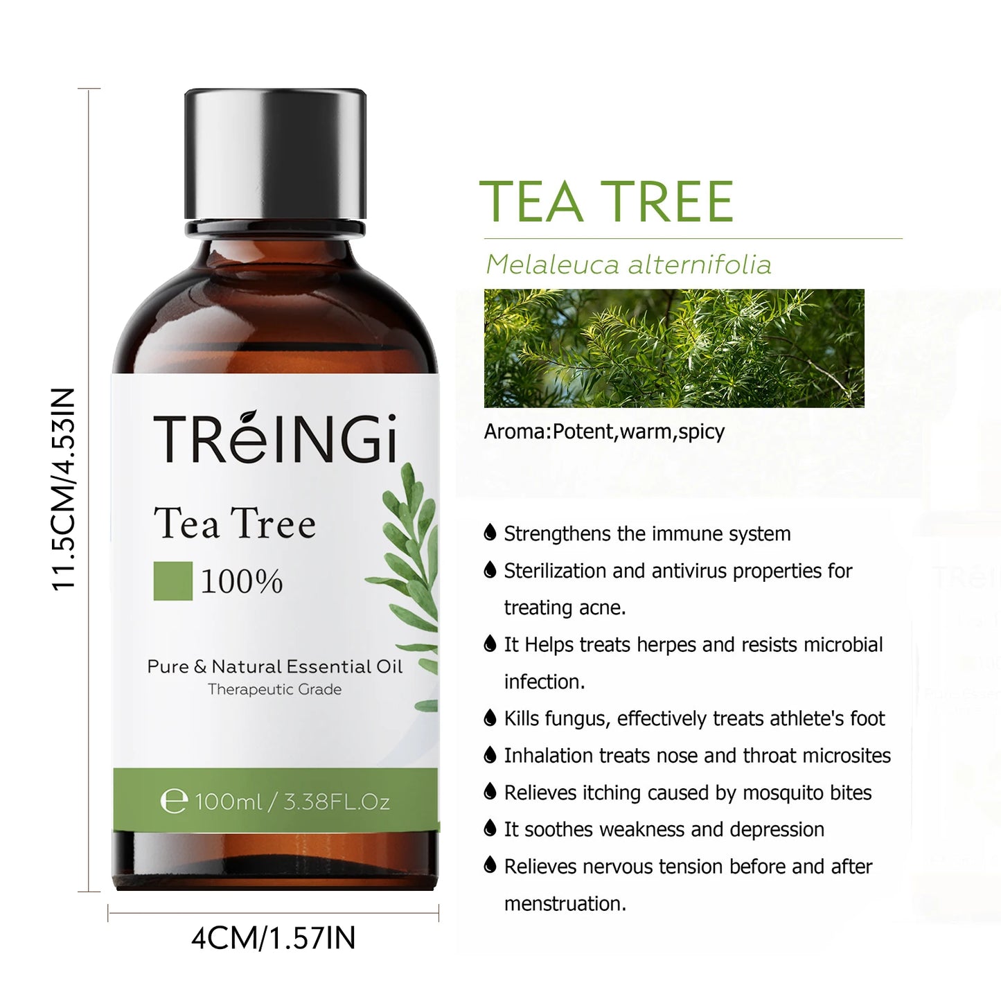 TREINGI Premium Natural Aromatic Rose Jasmine Blend for Spa, Massage, and Diffuser