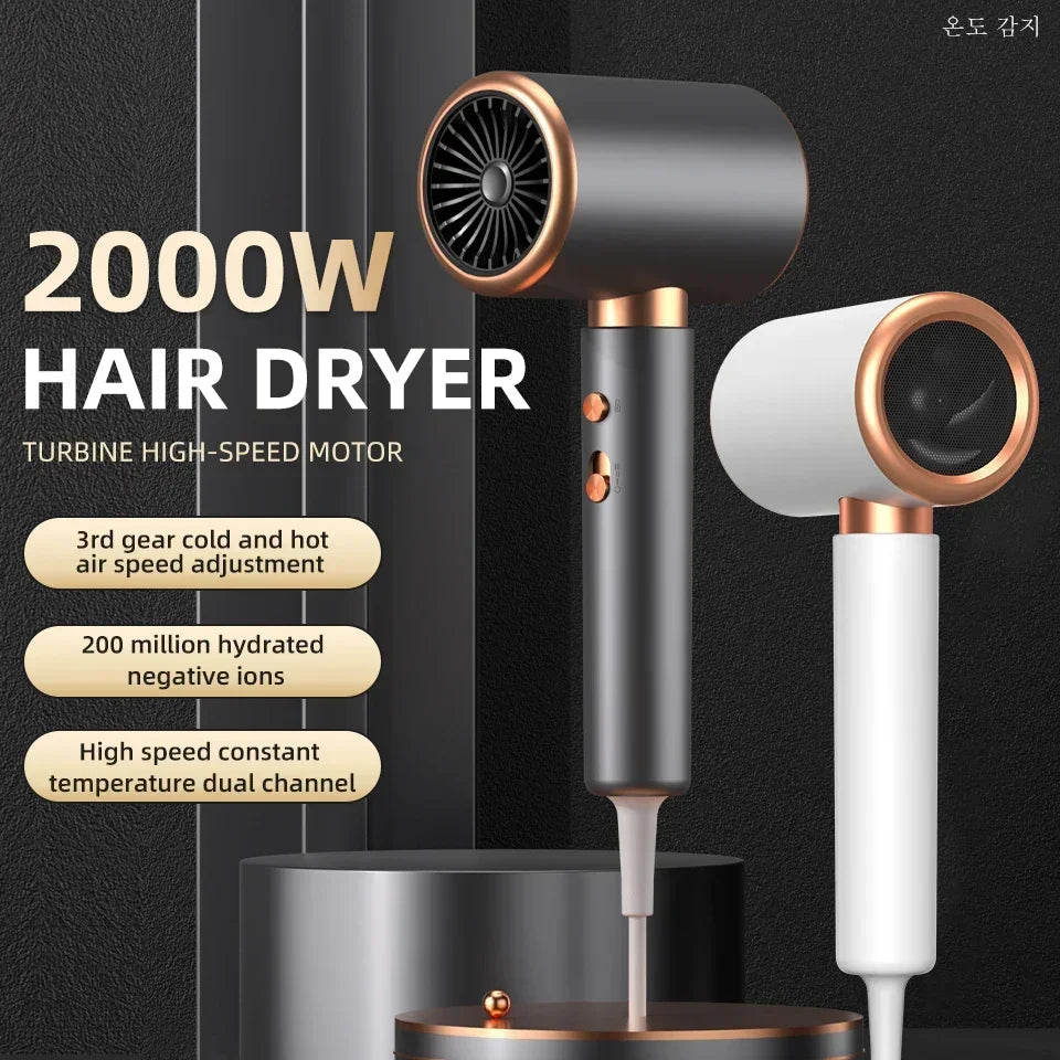 Professional Ionic Hair Dryer (2,000 W)